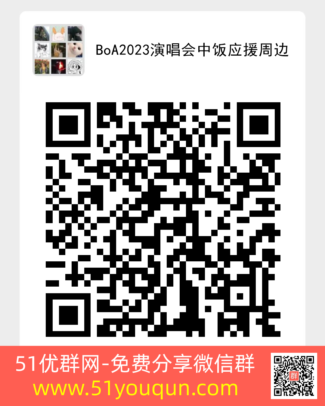 BoA2023演唱会中饭应援周边-项目·行业微信群